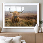 Scottish Highland Cow Canvas Wall Art, Rustic Farmhouse Decor