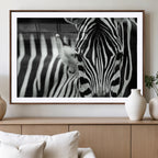 Zebra Wall Art | Zebra Close Up Canvas Print | Framed Black and White Wildlife