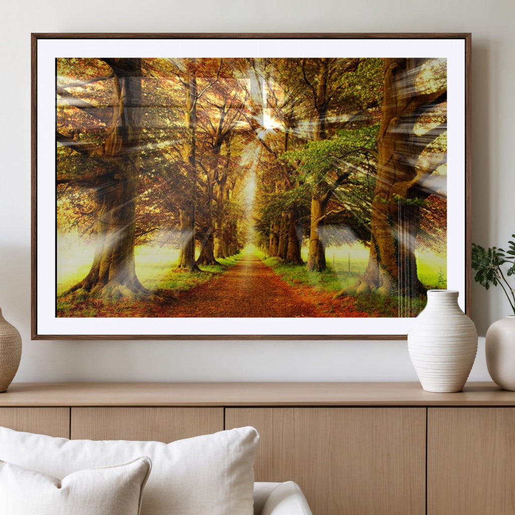 Sunshine in Forest and Trees Wall Art Canvas Print