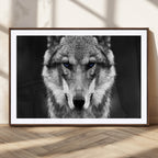 Black and White Wild Wolf Wall Art Canvas Print