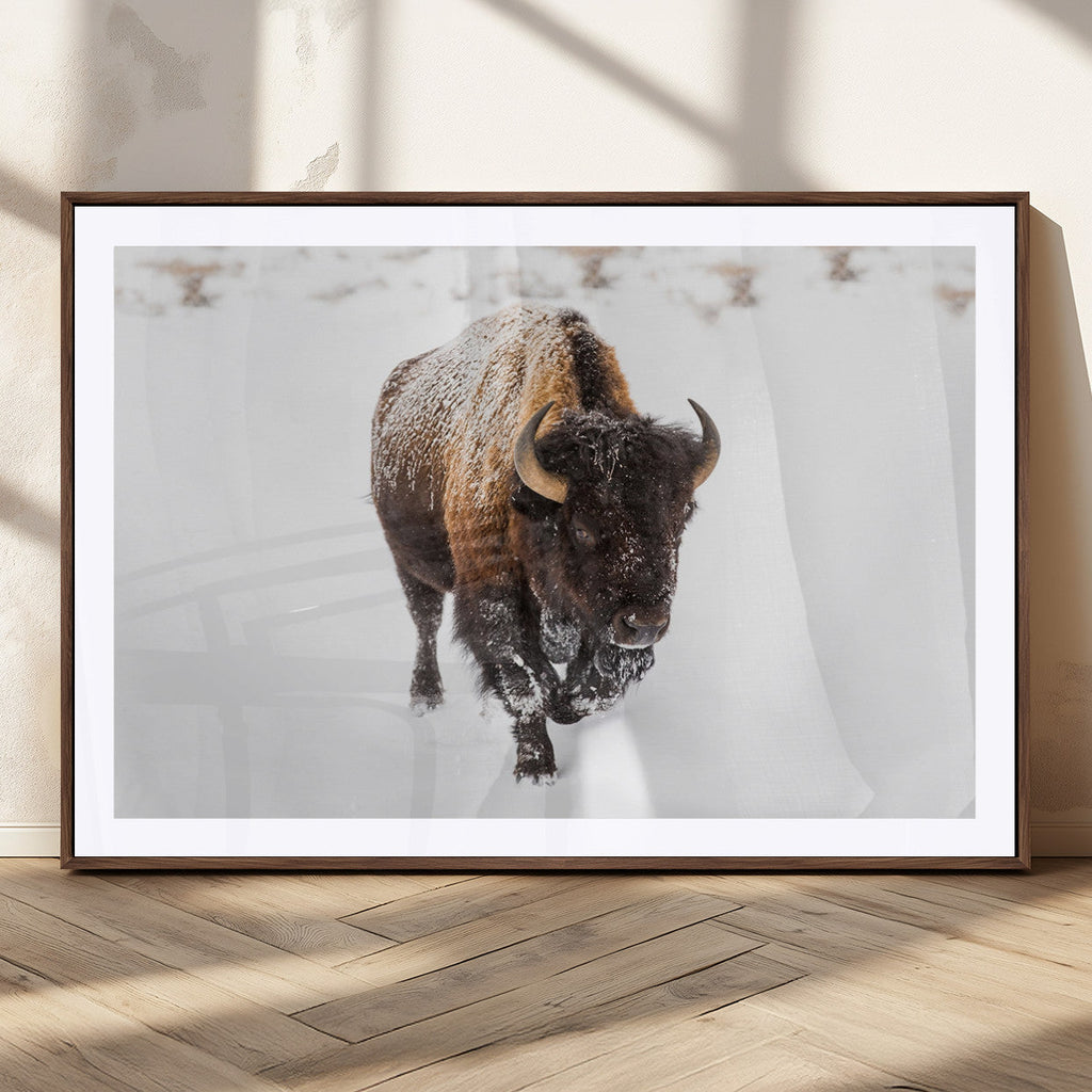 Bison Winter Wall Art Canvas Print For Farmhouse Decor