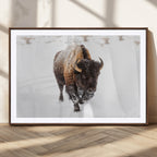 Bison Winter Wall Art Canvas Print For Farmhouse Decor
