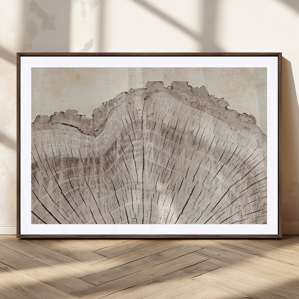 Tree Ring Wall Art Triptych, Rustic Wood Ring Canvas Print