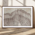 Tree Ring Wall Art Triptych, Rustic Wood Ring Canvas Print