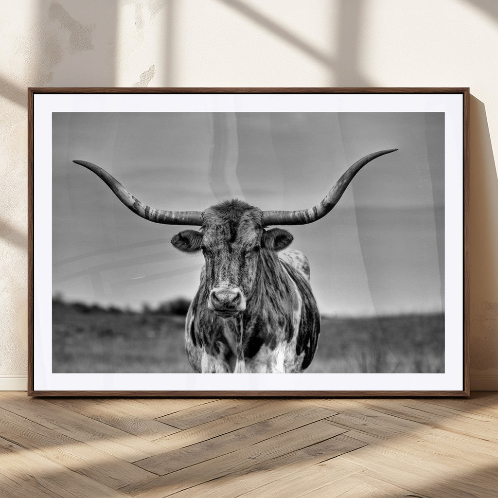 Texas Longhorn Cow Wall Art, Texas Longhorn Canvas, Cattle