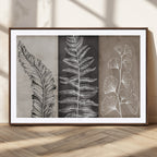 Minimalist Botanical Wall Art Canvas Print, Framed and Ready to Hang
