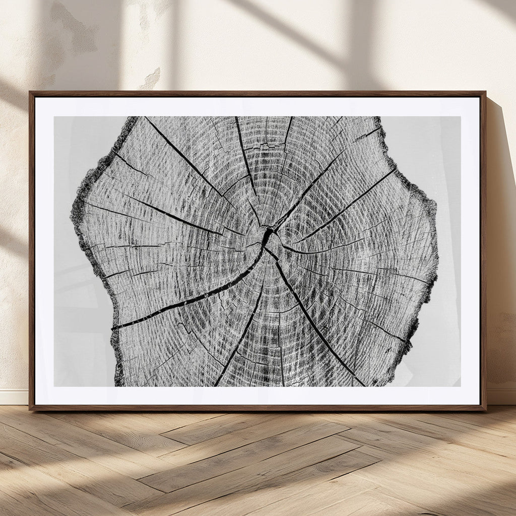 Rustic Tree Ring Wall Art Canvas Print, Framed and Ready to Hang