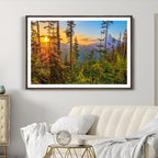 Forest Sunset Wall Art Canvas Print | Green Pines in Golden Light