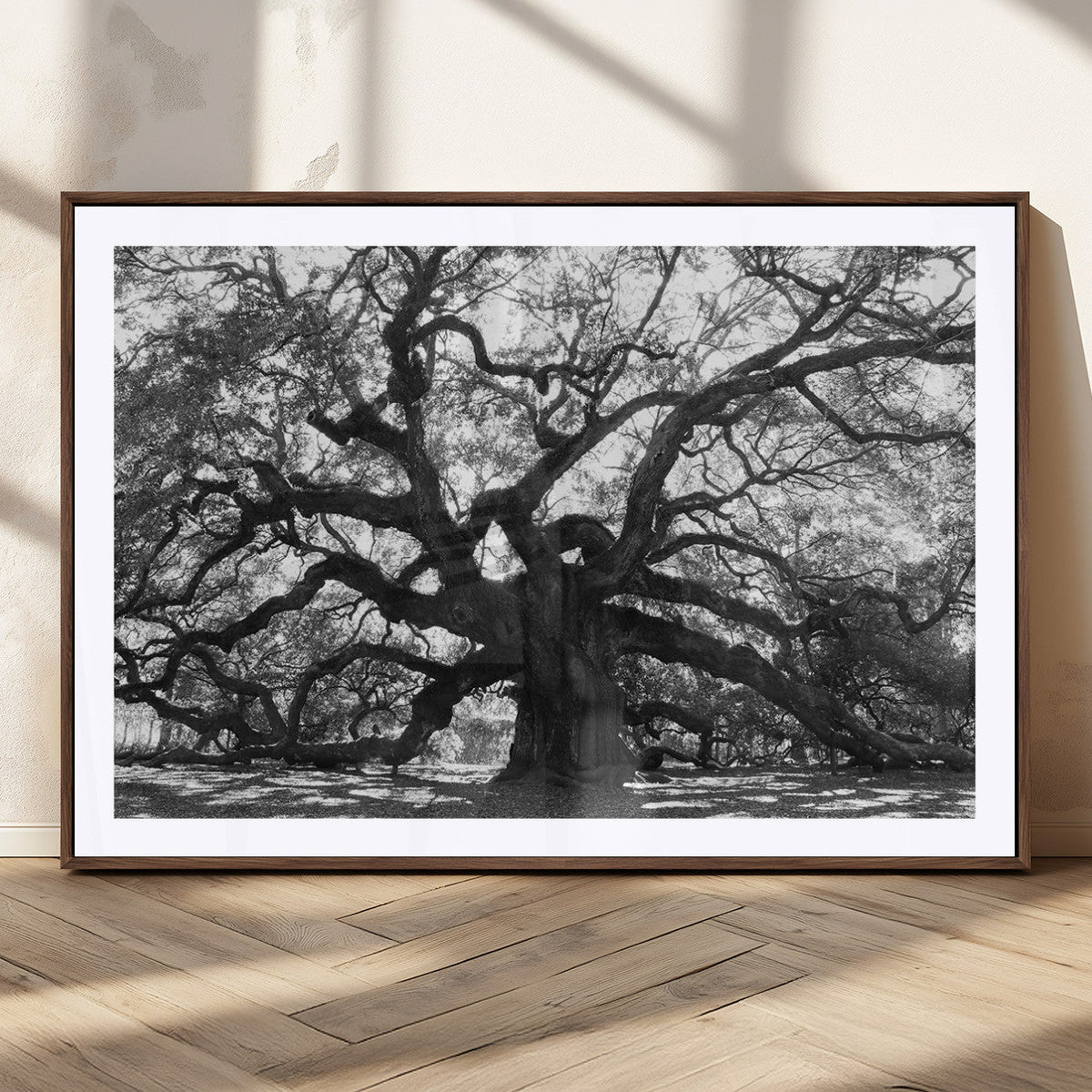 Ancient Oak Wall Art Canvas Print | Gnarled Tree with Twisted Branches