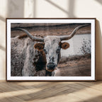 Texas Longhorn Wall Art Canvas Print | Framed Brown and White Spotted Longhorn