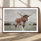 Texas Longhorn Wall Art | Framed Spotted Cattle Canvas