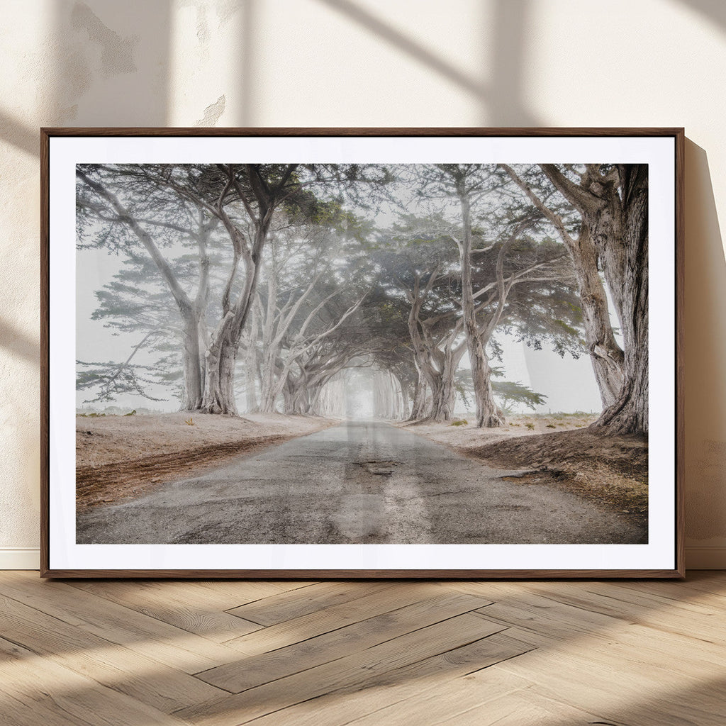 Cypress Tunnel Wall Art | Framed Misty Road Canvas Artwork