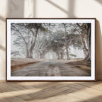 Cypress Tunnel Wall Art | Framed Misty Road Canvas Artwork