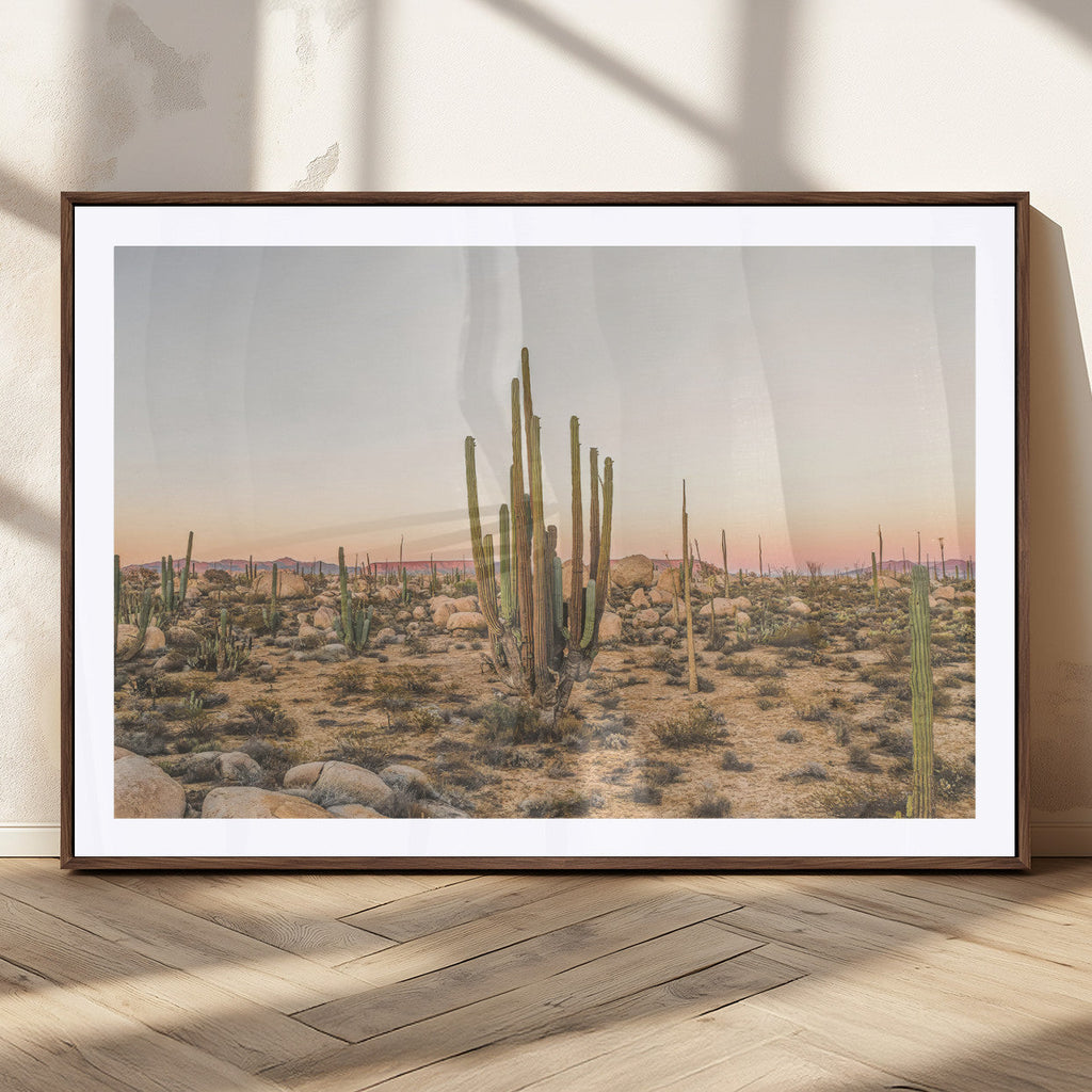Desert Cactus Wall Art Canvas Print, Framed Baja Desert Art, Pastel Southwestern Decor