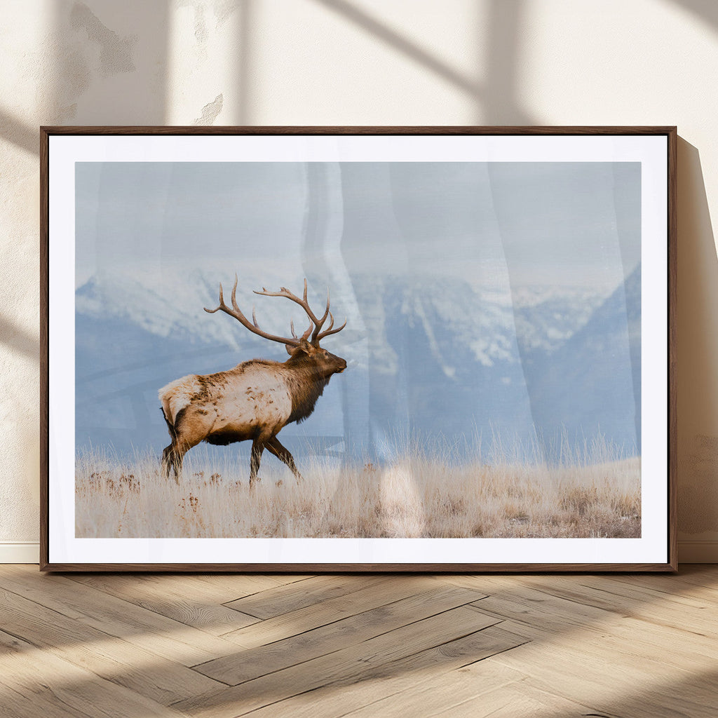 Elk Photography Wall Art Canvas Print, Framed Mountain Wildlife Art, Rustic Lodge Decor