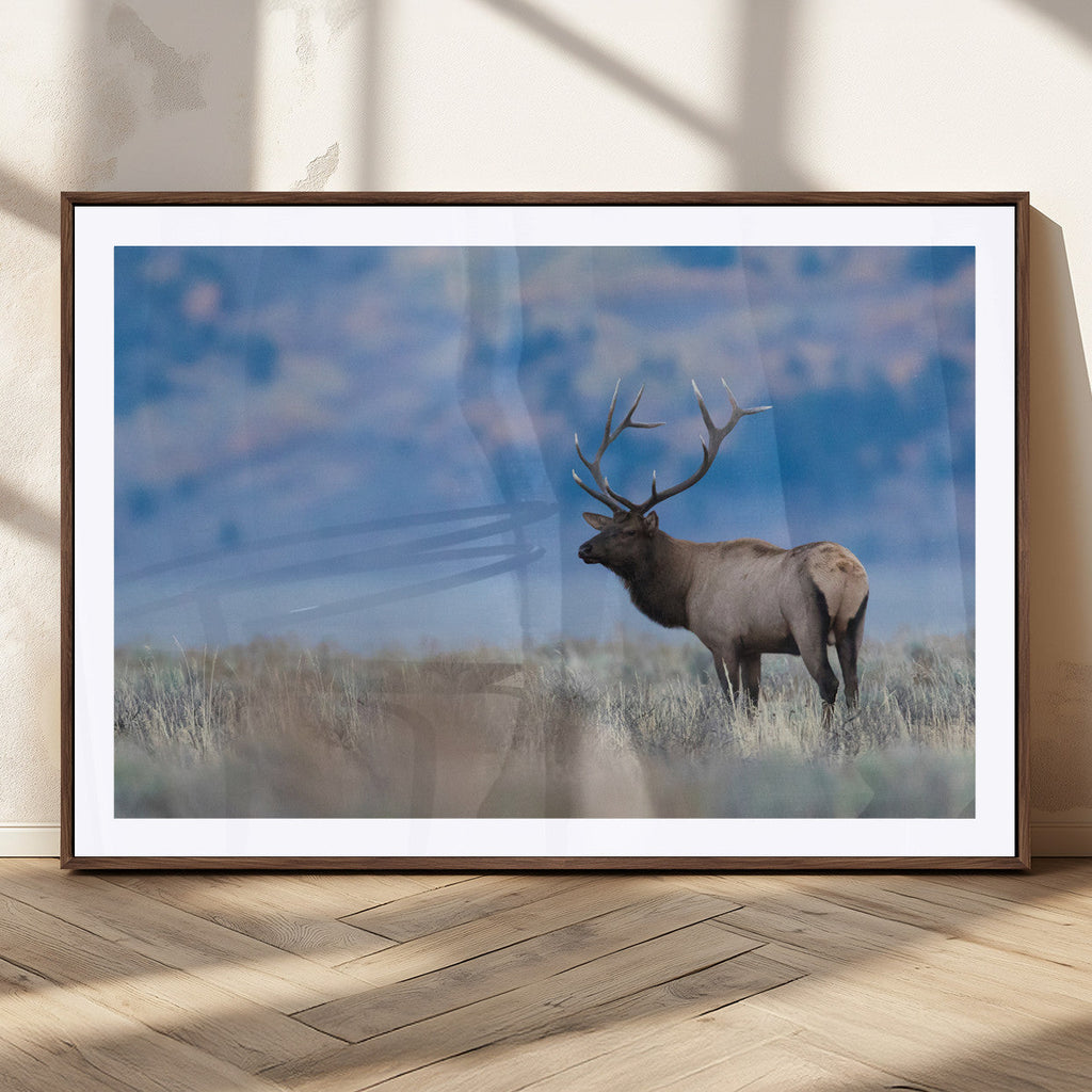 Elk Wall Decor Canvas Print, Framed Rustic Wildlife Art, Mountain Elk Landscape