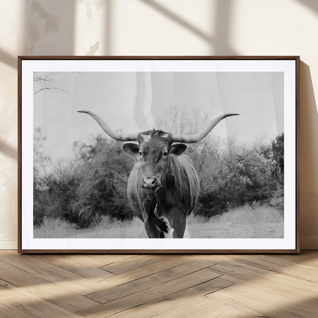 Longhorn Photography Wall Art Canvas Print, Framed Western Cow Texas Ranch Decor