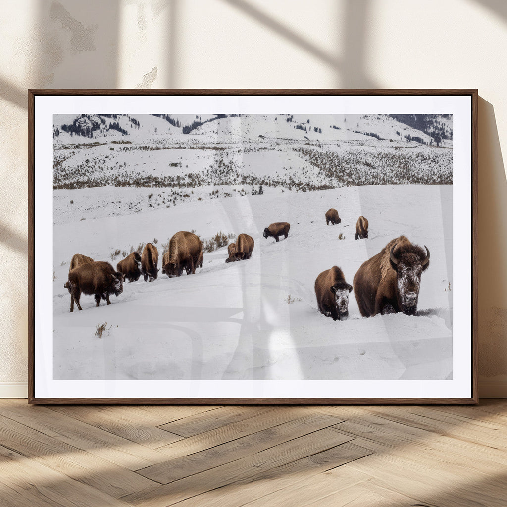 Bison Herd Wall Art Canvas Print, Framed Western Wildlife Decor, Snowy Mountain Valley