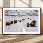 Bison Herd Wall Art Canvas Print, Framed Western Wildlife Decor, Snowy Mountain Valley
