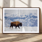 Bison Snow Wall Art Canvas Print, Framed Wildlife Scene, Western Ranch Style Decor
