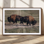 Bison Wall Art Canvas Print, Framed Western Wildlife Modern Ranch