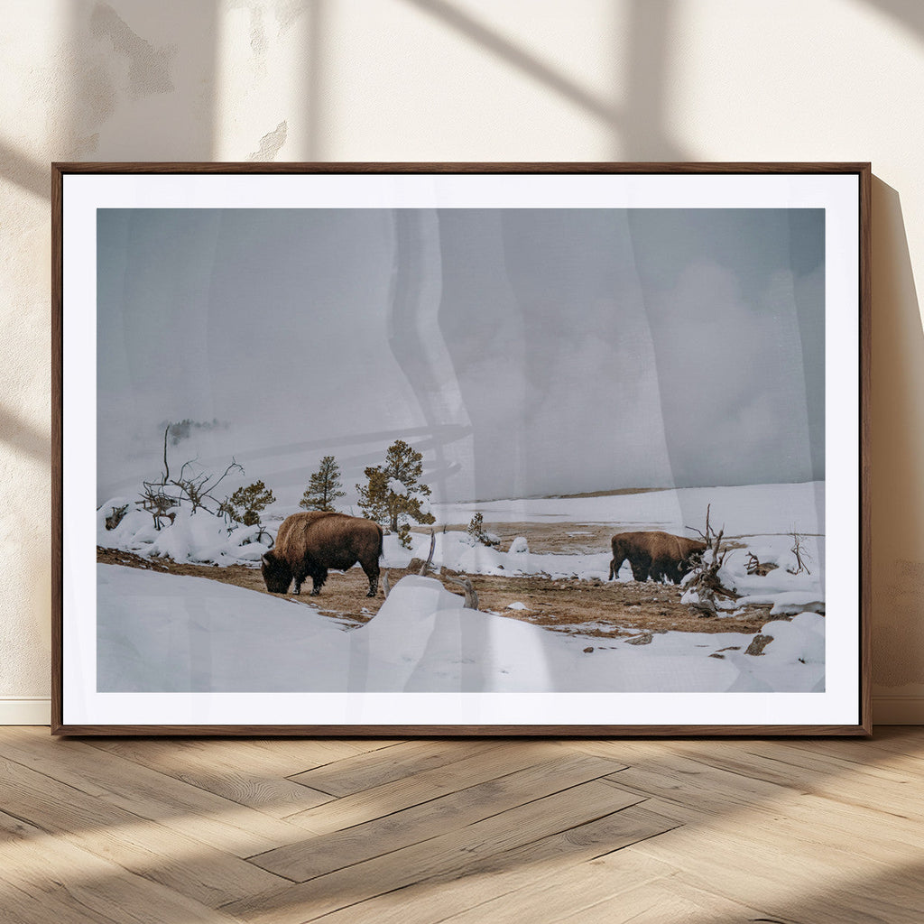 Bison Wildlife Wall Art Canvas Print, Framed Snowy Prairie Art, Western Landscape Decor