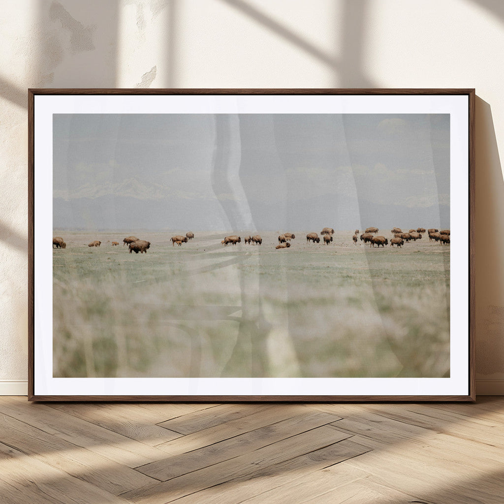 Bison Herd Wall Art Canvas Print, Framed Western Ranch Nature Scene