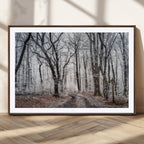 Winter Forest Wall Art Canvas Print, Framed Frosty Woodland with Misty Trees