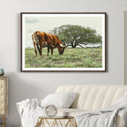 Texas Longhorn Wall Art Canvas Print, Rustic Western Ranch