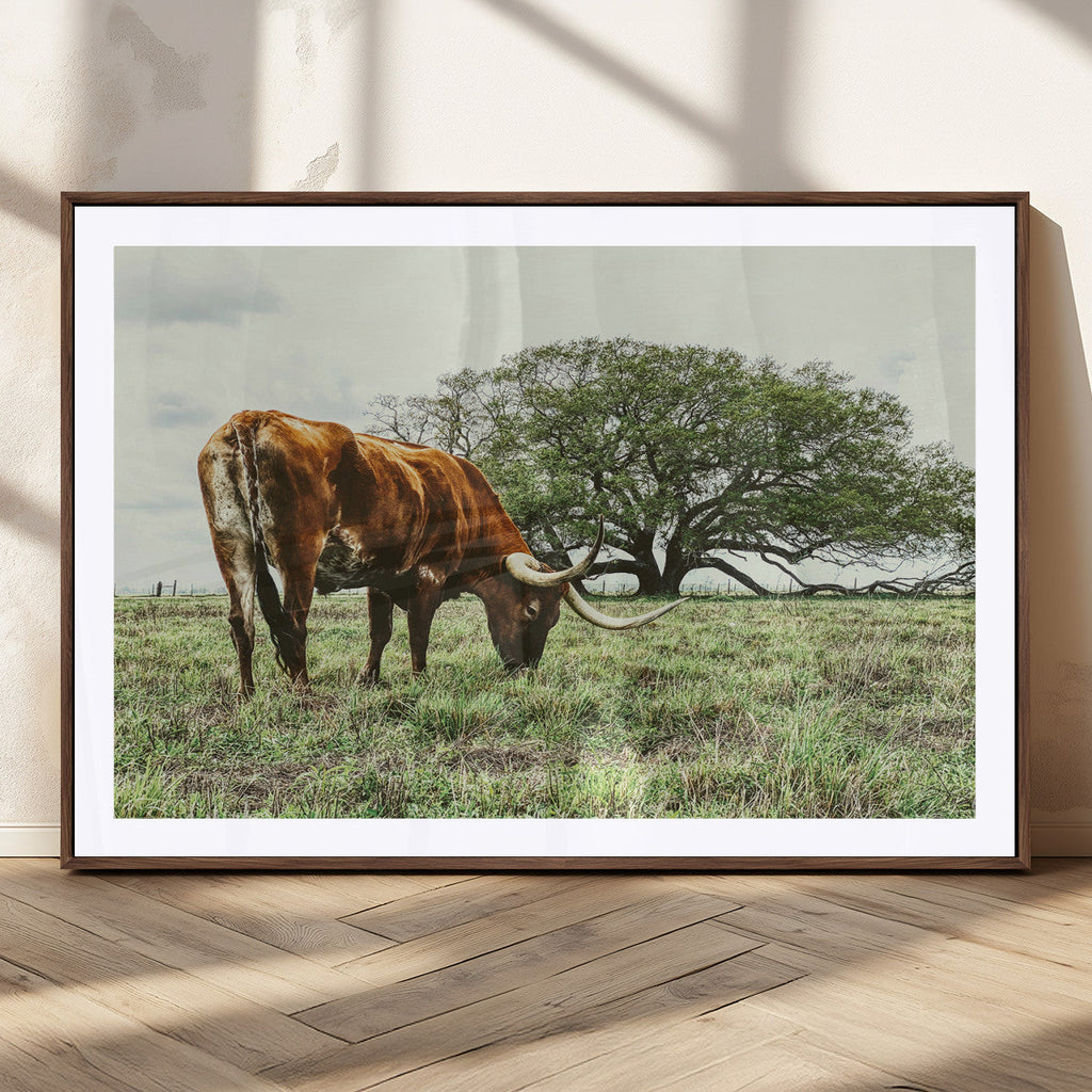 Texas Longhorn Wall Art Canvas Print, Framed Rustic Ranch Western Cattle