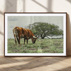Texas Longhorn Wall Art Canvas Print, Framed Rustic Ranch Western Cattle