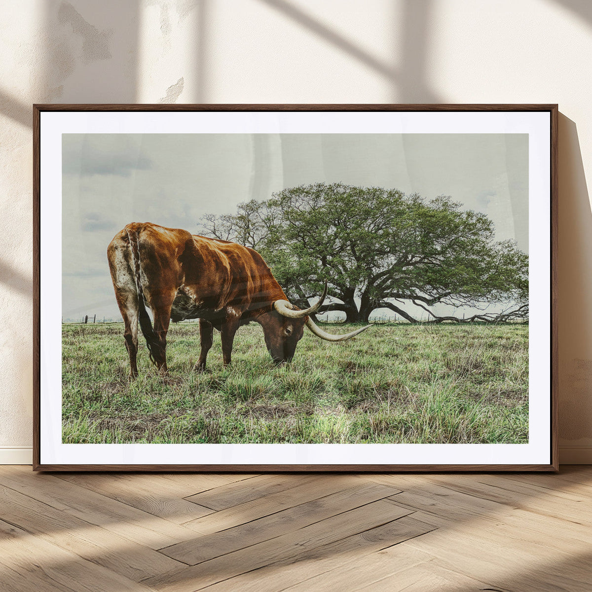Texas Longhorn Wall Art Canvas Print, Framed Rustic Ranch Western Cattle