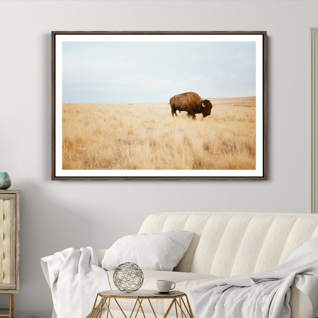 Buffalo Wall Art Canvas Print, Framed Western Wildlife Rustic Prairie Scene