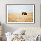 Buffalo Wall Art Canvas Print, Framed Western Wildlife Rustic Prairie Scene
