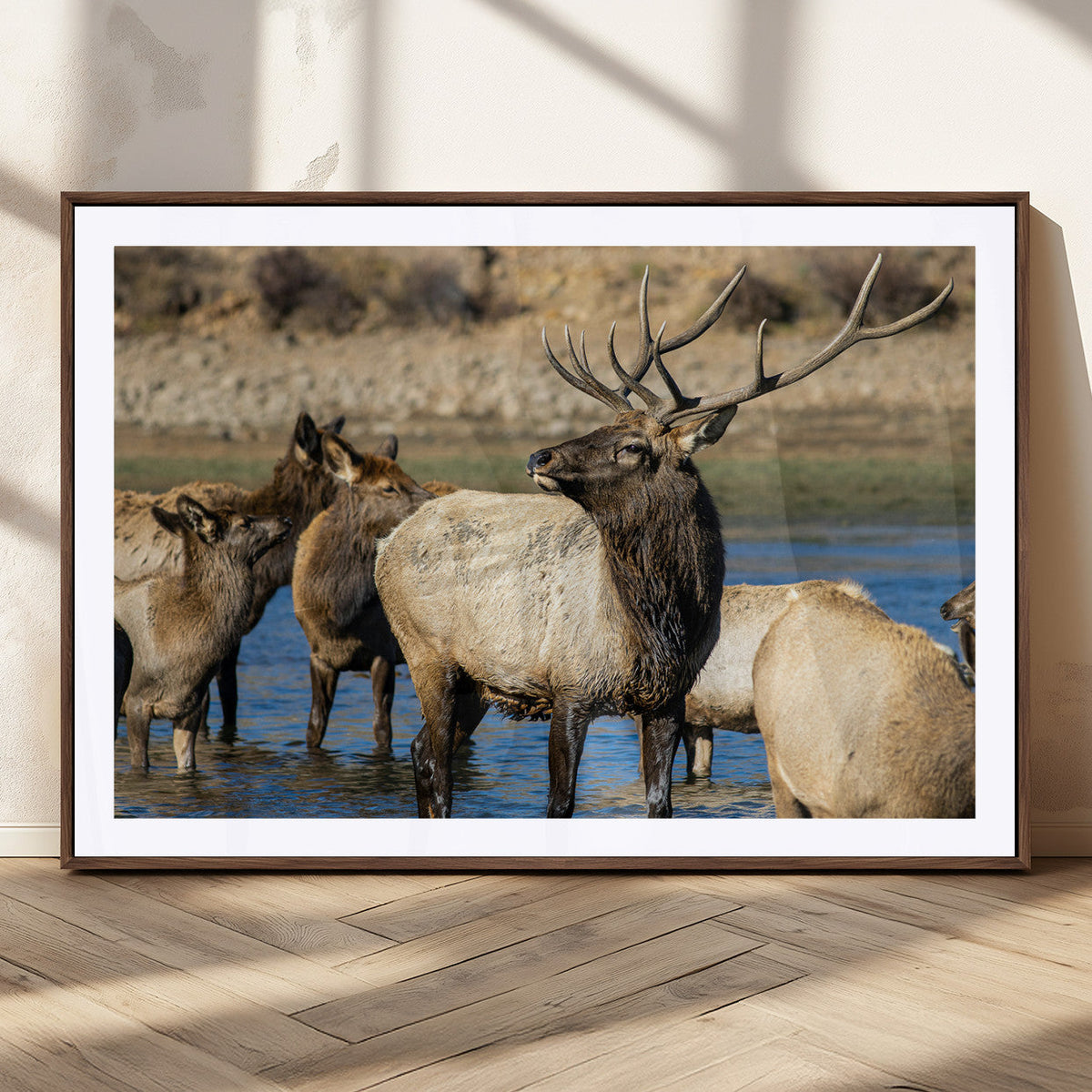 Wild Elk Wall Art Canvas Print, Framed Neutral Wildlife Scene