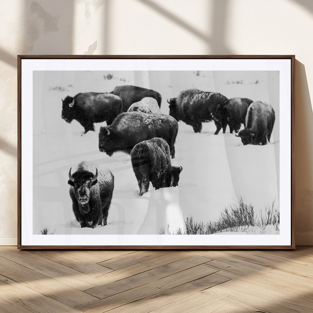 Buffalo Herd Wall Art Canvas Print, Framed Black and White Snowy Landscape
