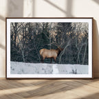 Wild Elk Wall Art Canvas Print, Framed Winter Wildlife in a Snowy Forest