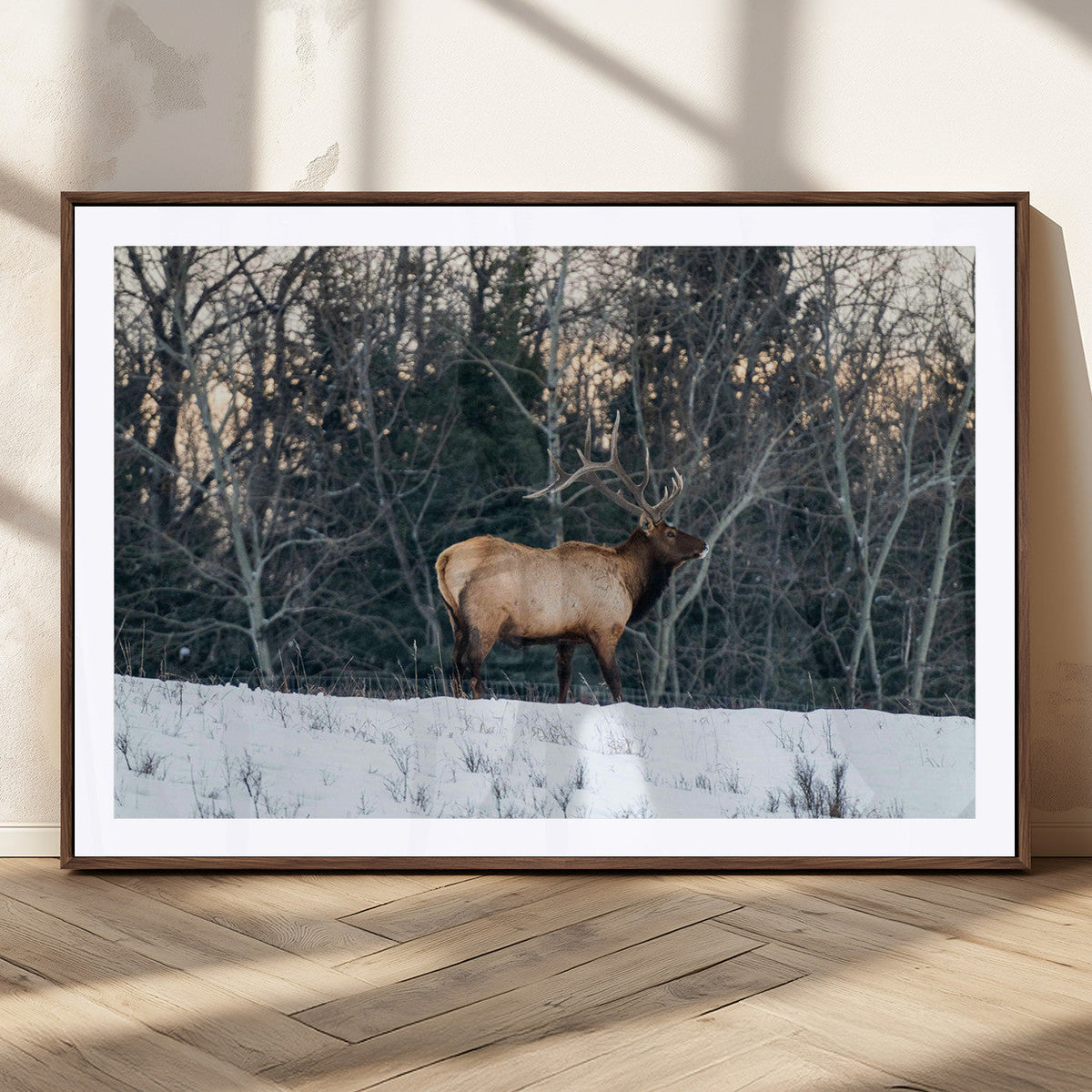 Wild Elk Wall Art Canvas Print, Framed Winter Wildlife in a Snowy Forest