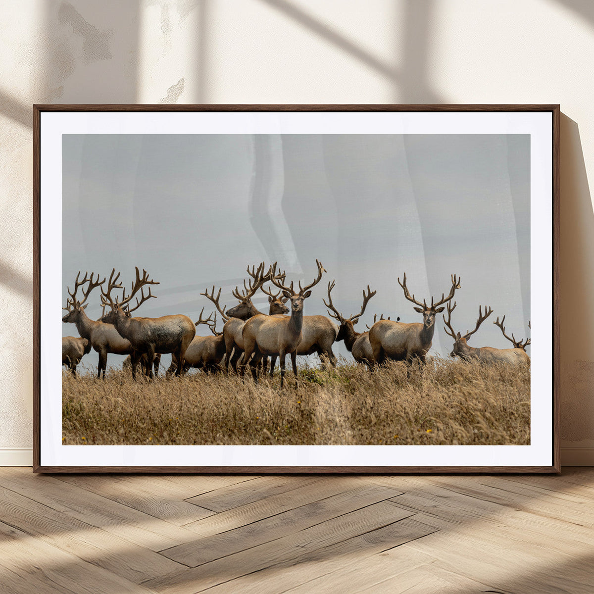 Elk Herd Wall Art Canvas Print, Framed Wildlife Photography Art, Majestic Antlers Rustic Wildlife Decor
