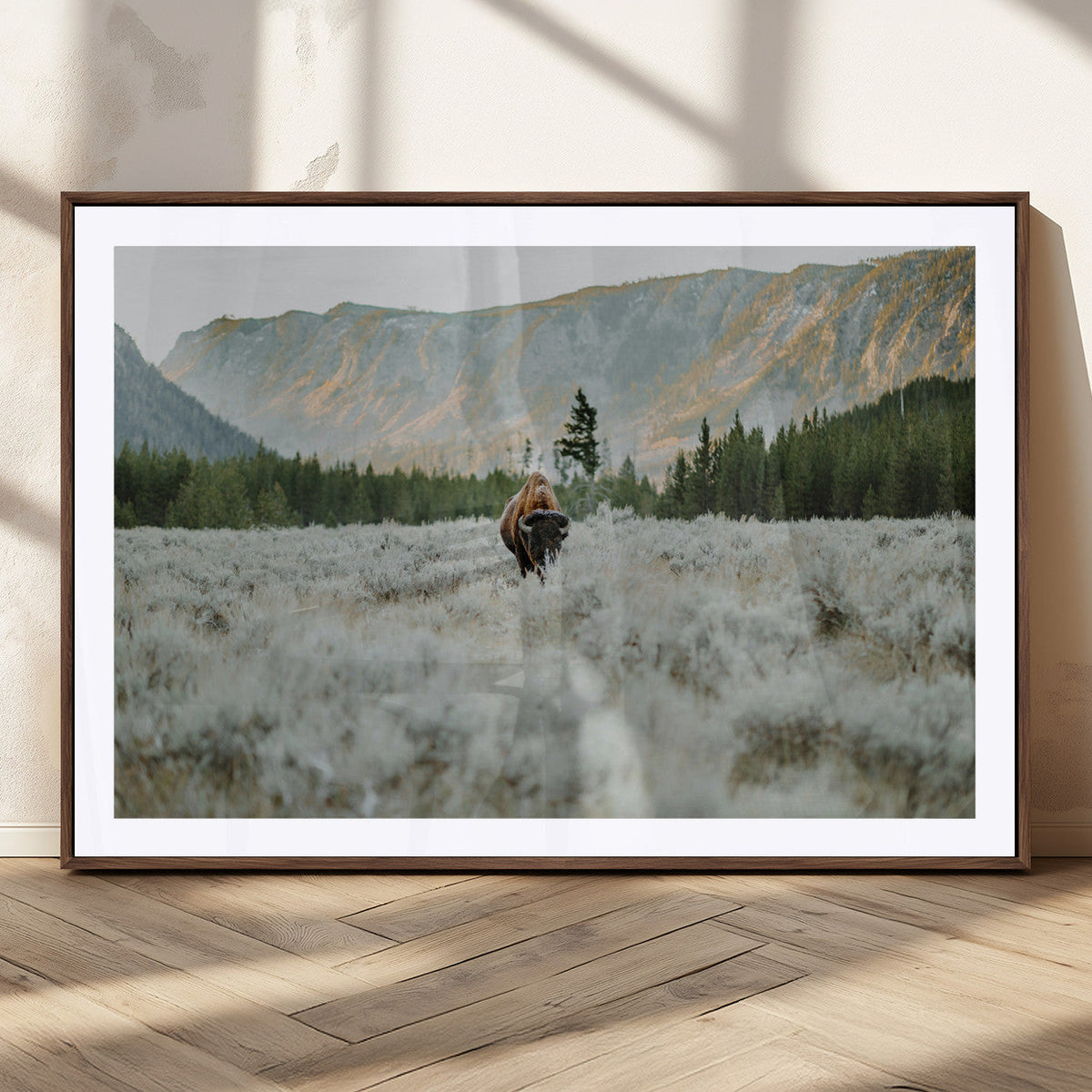 Wild Bison Wall Art Canvas Print, Majestic Mountain Pines and Misty Wilderness