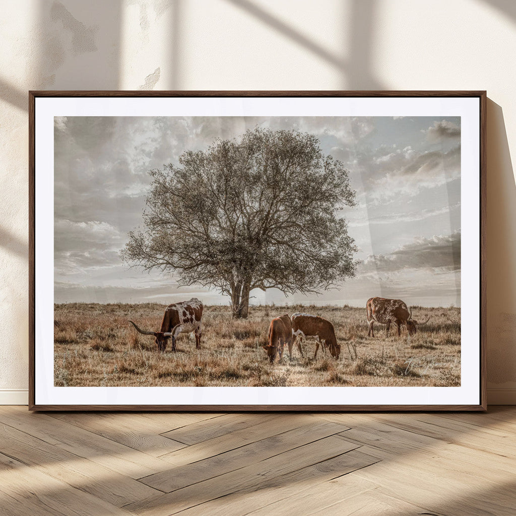 Texas Longhorn Cattle Wall Art, Rustic Western Ranch Canvas
