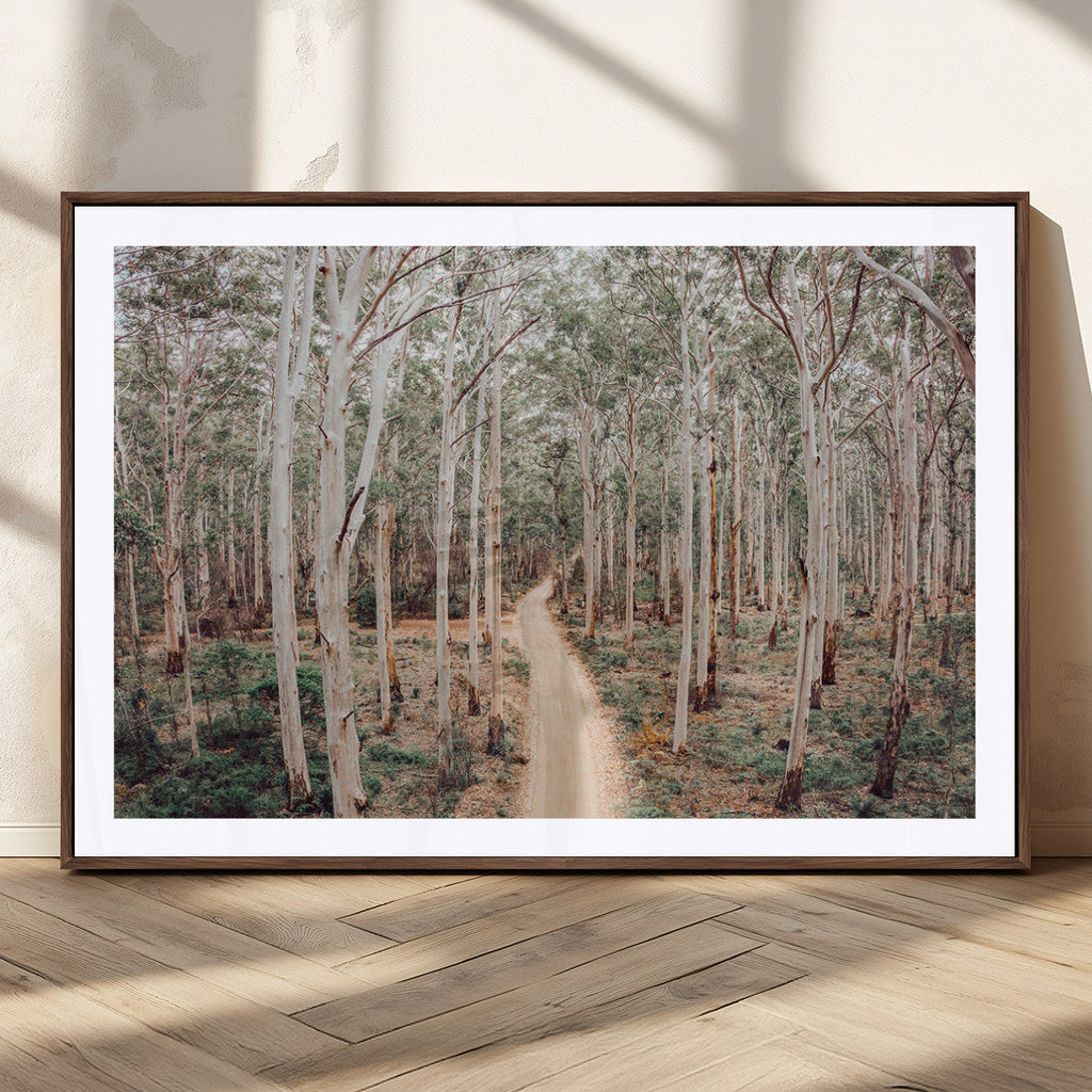 Forest Dirt Road Wall Art Canvas Print, Scenic Woodland Pathway with Tall Trees