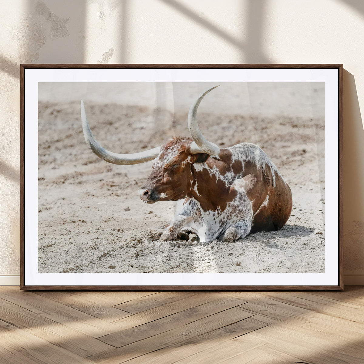 Majestic Longhorn Wall Art Canvas Print, Resting on Sunlit Desert Ground