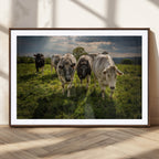 Grazing Cattle Herd Wall Art Canvas Print, Framed Green Pasture Farm Scene