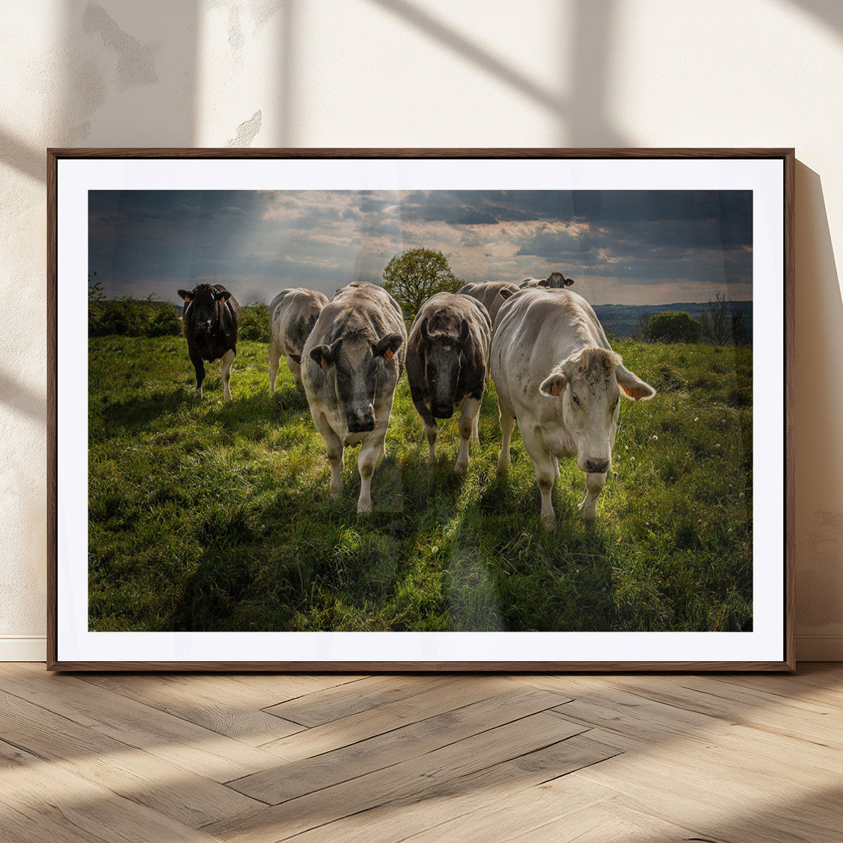 Grazing Cattle Herd Wall Art Canvas Print, Framed Green Pasture Farm Scene