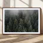 Misty Pine Forest Wall Art Canvas Print, Lush Green Trees Surrounded by Gentle Fog