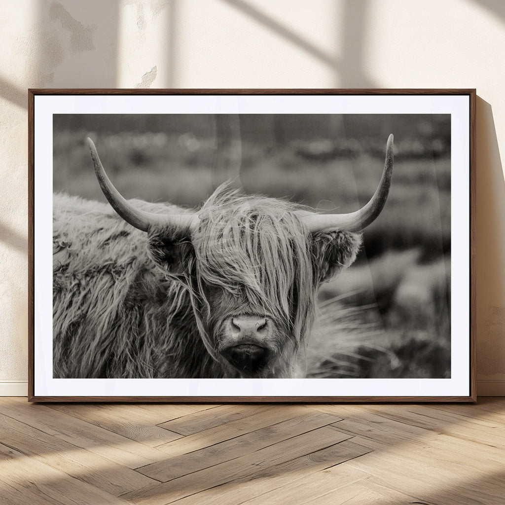 Cow Focus Canvas Wall Art Print