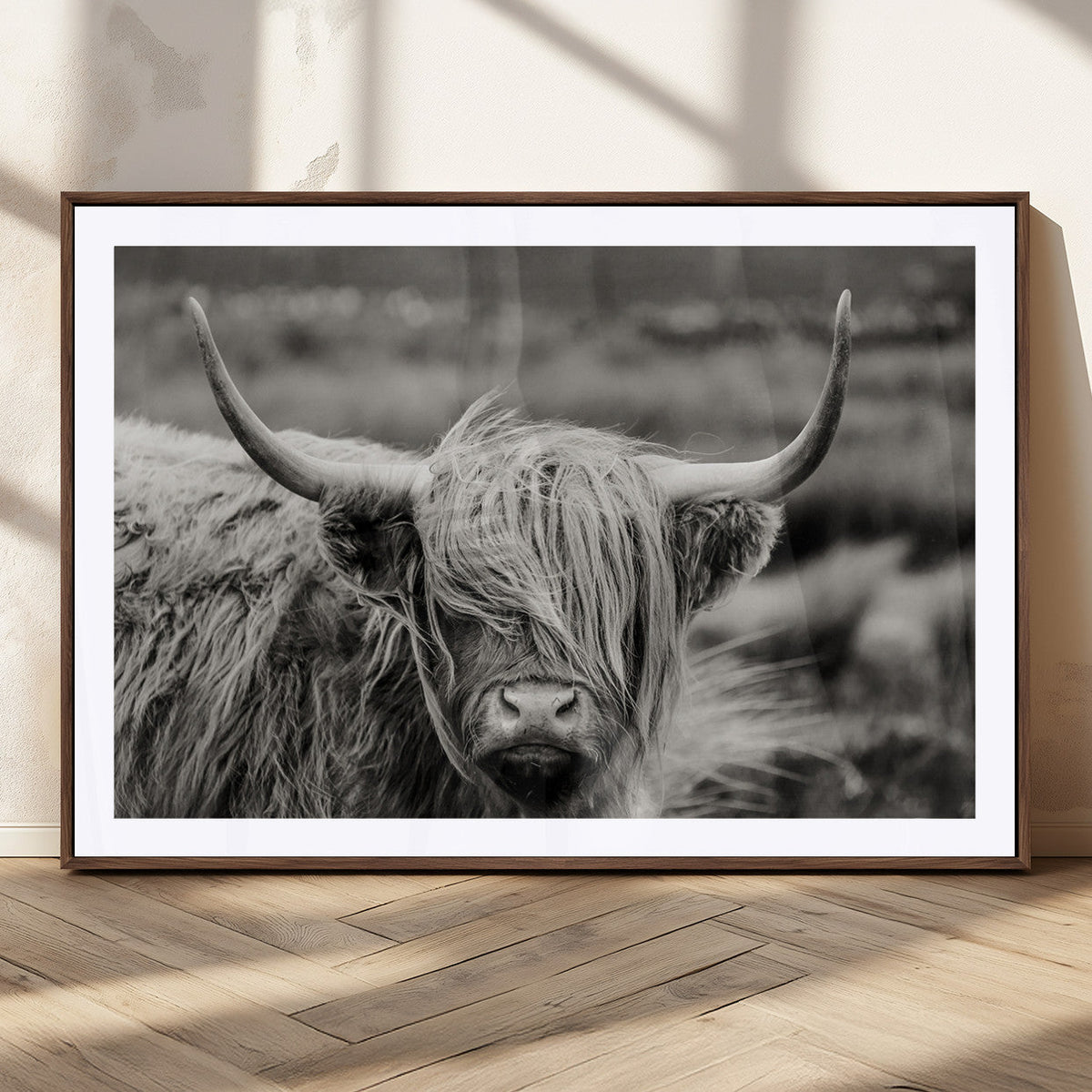 Cow Focus Canvas Wall Art Print