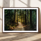 Sunlit Forest Pathway Canvas Print | 3 Panel Large Nature Wall Art
