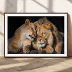 Lion and Lioness Wall Art Canvas Print | African Wildlife Animal Art